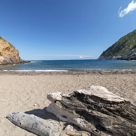 - Insel Elba 23681 *